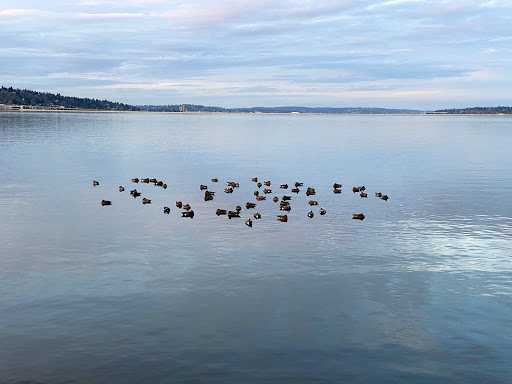 Recreation Center «Mt Baker Rowing & Sailing Center», reviews and photos, 3800 Lake Washington Blvd S, Seattle, WA 98118, USA