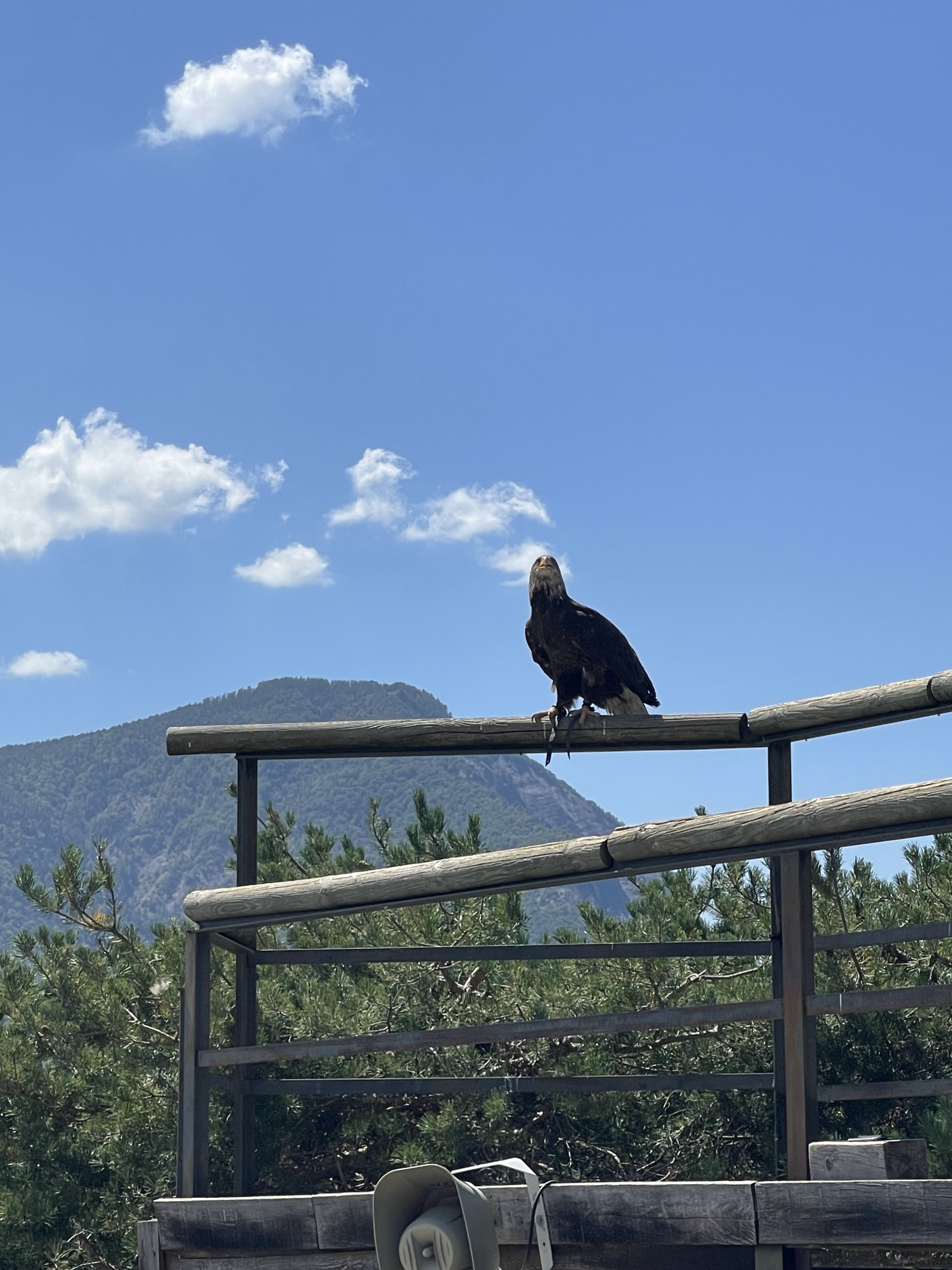Photo n° 4 de l'avis de Ange.e fait le 13/08/2023 à 22:52