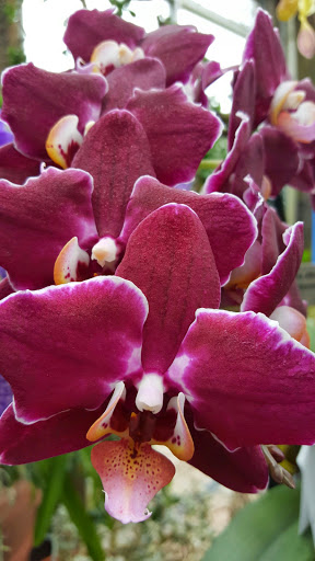 Park «Garfield Park», reviews and photos, 2505 Conservatory Dr, Indianapolis, IN 46203, USA