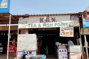 Kgn fish point image