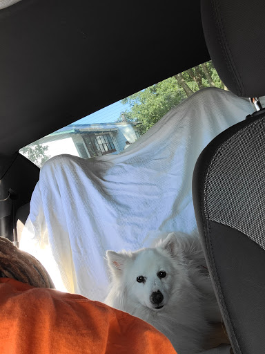 Pet Supply Store «Care-A-Lot Pet Supply Indian River», reviews and photos, 5457 Indian River Rd, Virginia Beach, VA 23464, USA