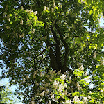 Photo n°8 de l'avis de Jens.a fait le 30/05/2023 à 18:01 sur le  Château de Rammenau à Rammenau
