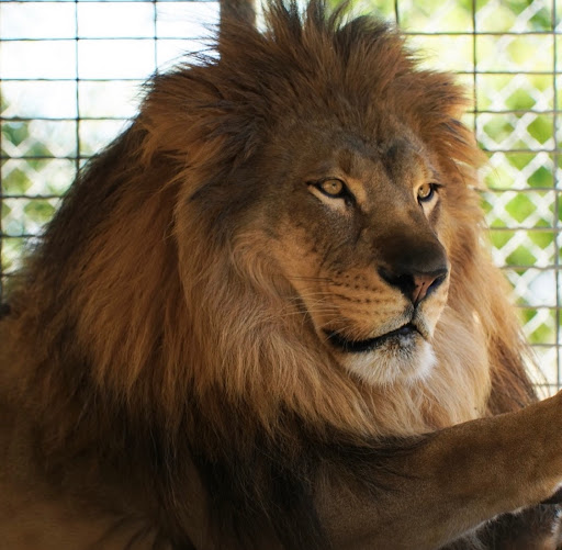 The Teaching Zoo at Moorpark College image