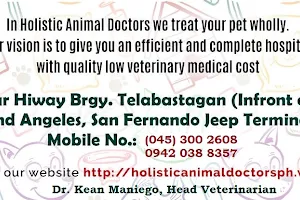 Holistic Animal Doctors image