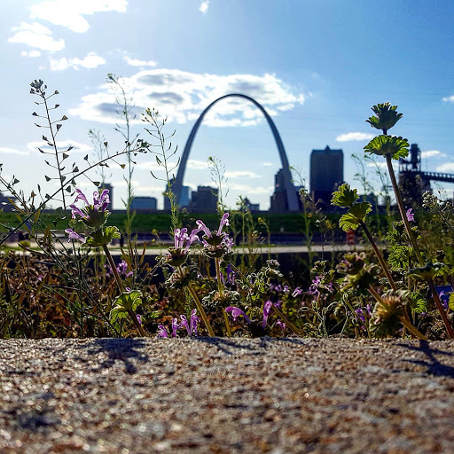 Memorial Park «Malcolm W. Martin Memorial Park», reviews and photos, 185 W Trendley Ave, East St Louis, IL 62201, USA