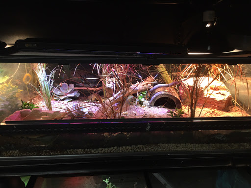 Pet Store «The Pet Works», reviews and photos, 407 4th Ave E, Olympia, WA 98501, USA