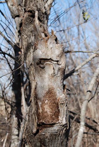 Park «Rickel Park», reviews and photos, 2100 Rickel Park Dr, Hurst, TX 76053, USA