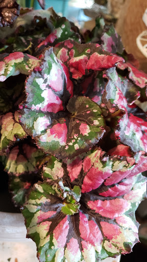 Florist «The Secret Garden», reviews and photos, 12 Southwest Ave, Jamestown, RI 02835, USA