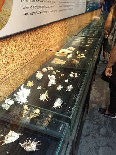 Fish shops in Rio De Janeiro