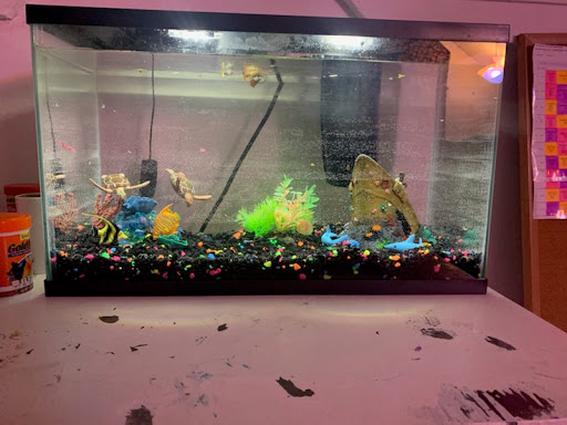 Pet Store «PetSmart», reviews and photos, 267 Berlin Turnpike, Berlin, CT 06037, USA