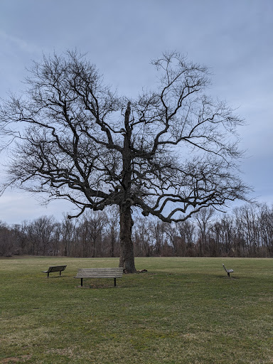 Country Club «Ramblewood Country Club», reviews and photos, 200 Country Club Pkwy, Mt Laurel, NJ 08054, USA