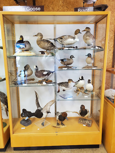 National Reserve «Montezuma National Wildlife Refuge», reviews and photos, 3395 US-20, Seneca Falls, NY 13148, USA