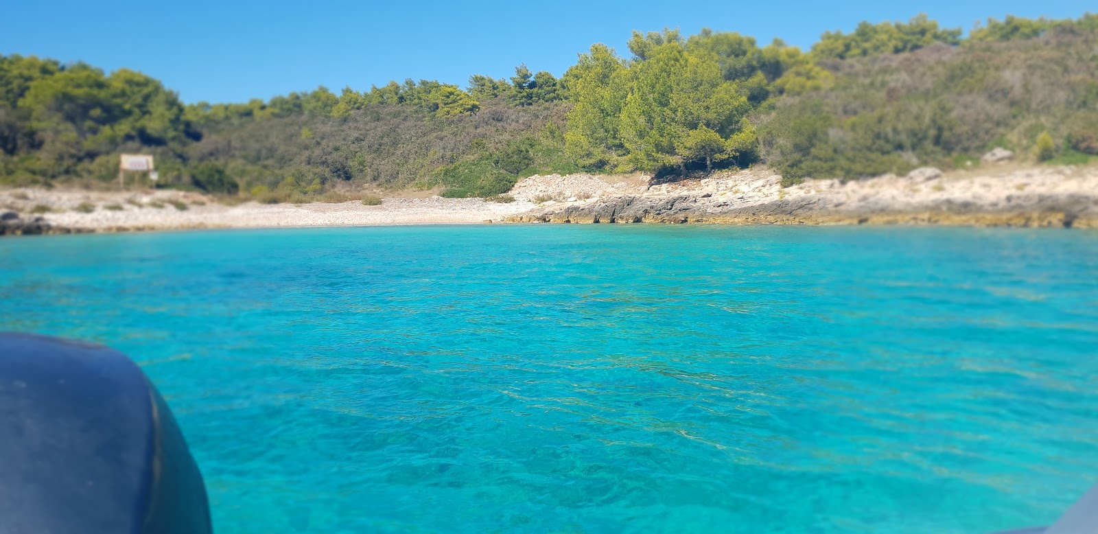 Punta beach'in fotoğrafı vahşi alan