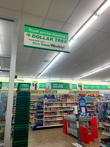 Dollar Store «Dollar Tree», reviews and photos, 230 W Lake St, Addison, IL 60101, USA