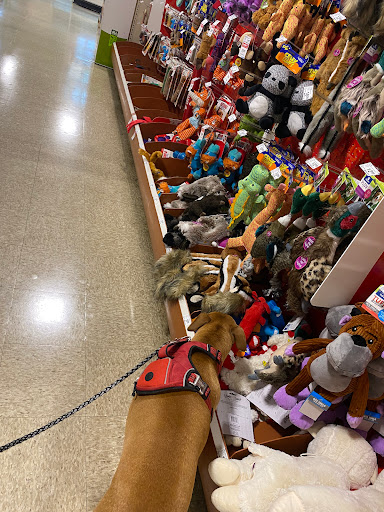 Pet Supply Store «PetSmart», reviews and photos, 2818 S Louise Ave, Sioux Falls, SD 57106, USA