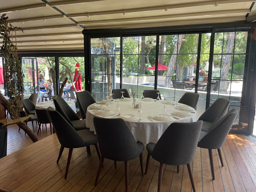 Syokudo ve Teishoku Restoranı Ankara