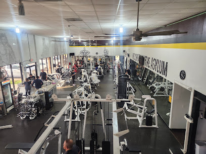 Iron Asylum Fitness Gym - 810 W Ocean Blvd Suite D, Los Fresnos, TX 78566