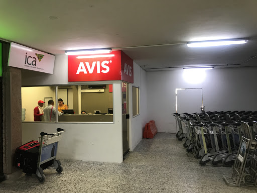 Avis Barranquilla