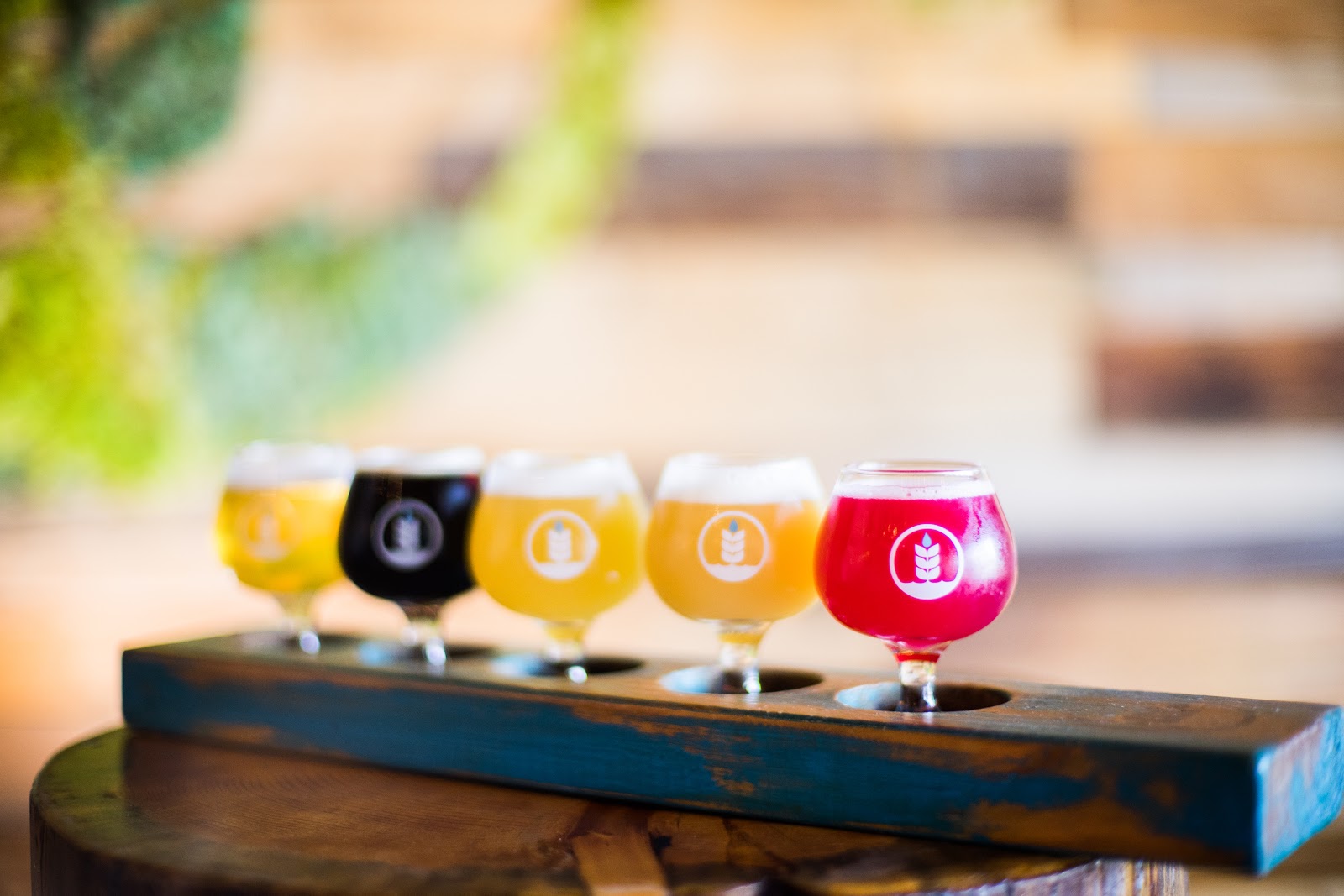 Brewing tanks in a taproom