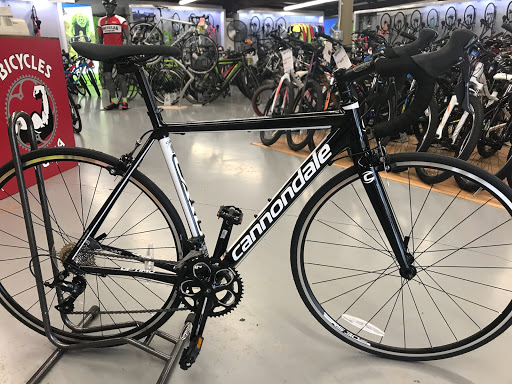 Bicycle Store «Bicycles Of Tulsa», reviews and photos, 4733 S Mingo Rd, Tulsa, OK 74146, USA