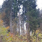 Photo n°2 de l'avis de Marleen.p fait le 10/11/2019 à 22:14 sur le  Hotel am Kurpark Brilon Feelhome Hotels GmbH à Brilon