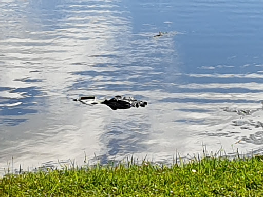 Golf Club «Manatee County Golf Course», reviews and photos, 6415 53rd Ave W, Bradenton, FL 34210, USA