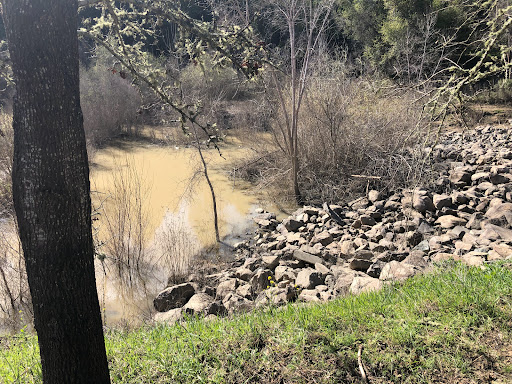 Riverfront Regional Park image