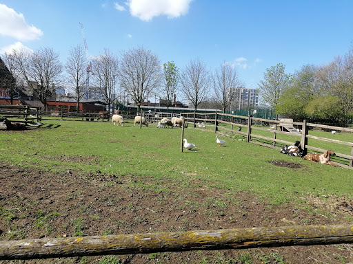 Hackney City Farm Yard London