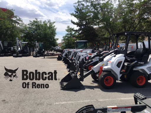 Bobcat of Reno