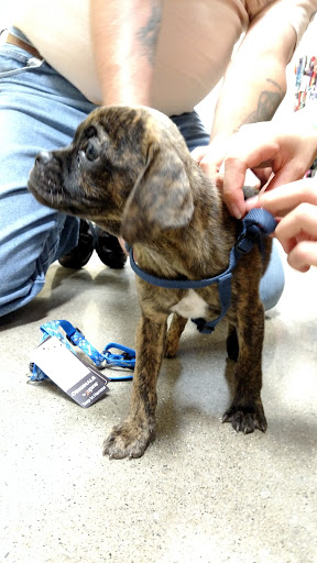 Pet Supply Store «Premier Pet Supply», reviews and photos, 31215 Southfield Rd, Beverly Hills, MI 48025, USA