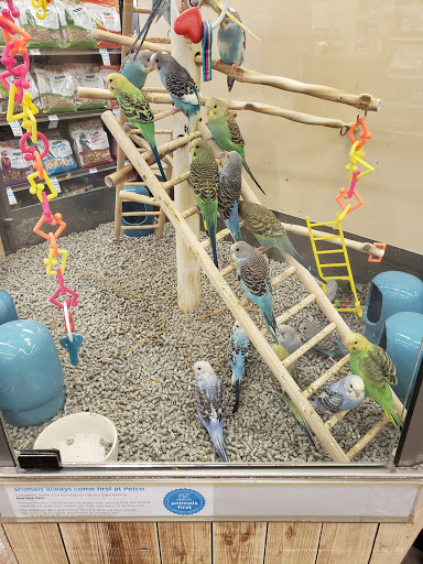 Pet Supply Store «Petco Animal Supplies», reviews and photos, 3430 W State St, Grand Island, NE 68803, USA