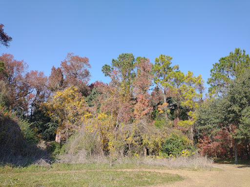 National Park «Charles Pinckney National Historic Site», reviews and photos, 1254 Long Point Rd, Mt Pleasant, SC 29464, USA