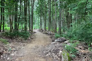 Marshall Conservation Area Trail Head image