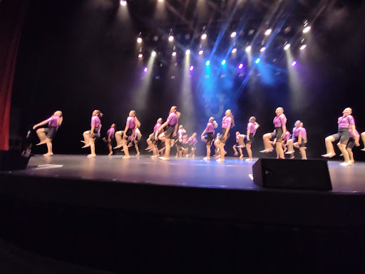 Performing Arts Theater «Alan Jay Wildstein Center for the Performing Arts», reviews and photos, 600 W College Dr, Avon Park, FL 33825, USA