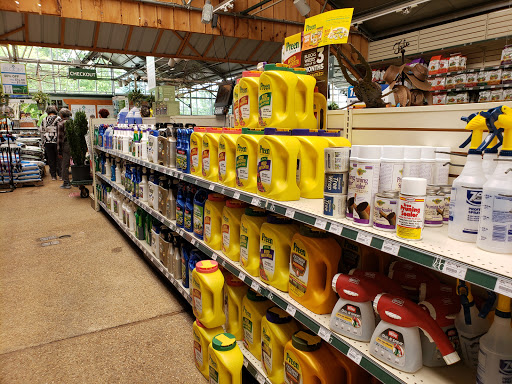 Garden Center «Homestead Gardens», reviews and photos, 743 Central Ave, Davidsonville, MD 21035, USA