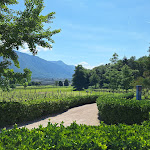 Photo n°2 de l'avis de Tom.r fait le 16/05/2024 à 07:49 sur le  Gutshof Lana Restaurant - Pizzeria à Lana