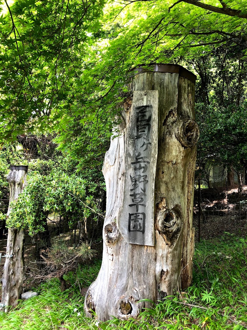 百貝ヶ岳野草園