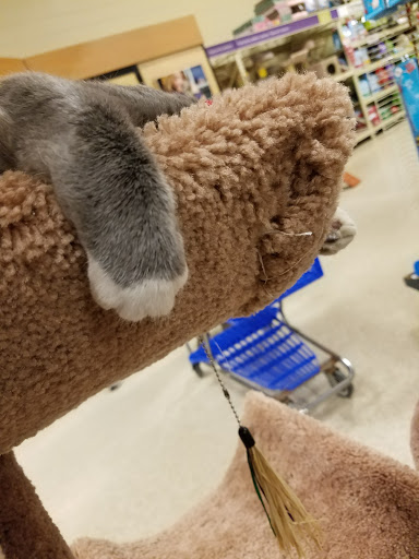 Pet Supply Store «PetSmart», reviews and photos, 4810 1st Ave NE, Cedar Rapids, IA 52402, USA