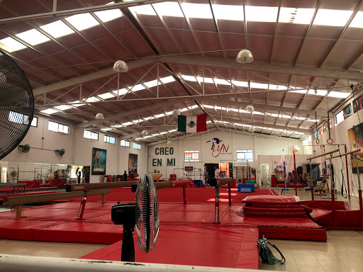 LYN Academia de Gimnasia Olímpica