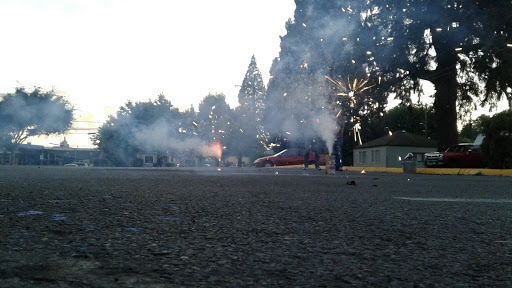 Cultural Center «Walters Cultural Arts Center», reviews and photos, 527 E Main, Hillsboro, OR 97123, USA