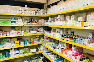 Manasa Vet Pharma | Sirsi image