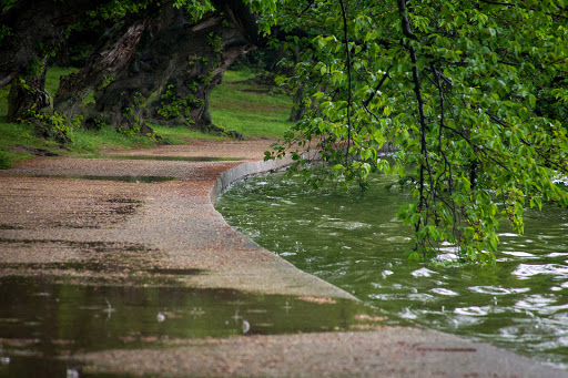 Memorial Park «Martin Luther King, Jr. Memorial», reviews and photos, 1964 Independence Ave SW, Washington, DC 20024, USA