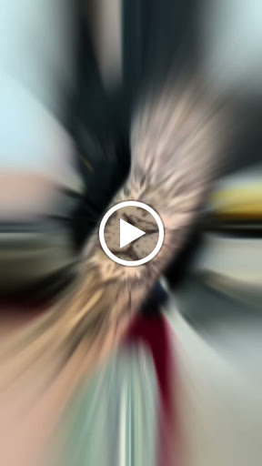 Explore guy side tattoo ideas, creative tattoo ideas in Littleton, available at Artistic Henna Designs