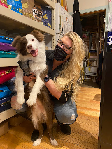 Pet Supply Store «New England Dog Biscuit Company», reviews and photos, 7 Central St, Salem, MA 01970, USA