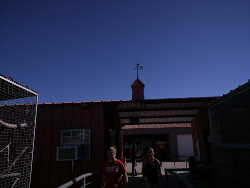 Ranch «Sharkarosa Wildlife Ranch», reviews and photos, 11670 Massey Rd, Pilot Point, TX 76258, USA