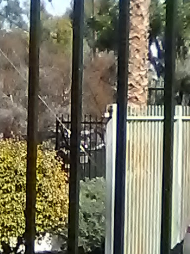 Cell Phone Store «AT&T Authorized Retailer», reviews and photos, 23639 Calabasas Rd, Calabasas, CA 91302, USA