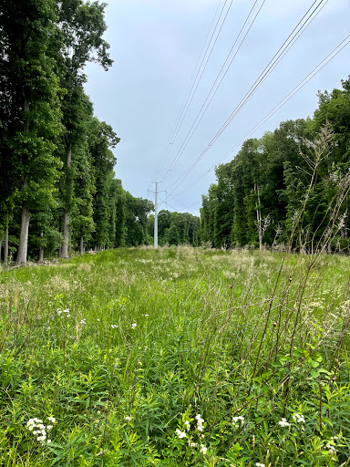 Public Golf Course «Hamptons Golf Course», reviews and photos, 320 Butler Farm Rd, Hampton, VA 23666, USA