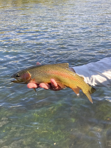 Fishing Store «Minturn Anglers», reviews and photos, 102 Main St, Minturn, CO 81645, USA