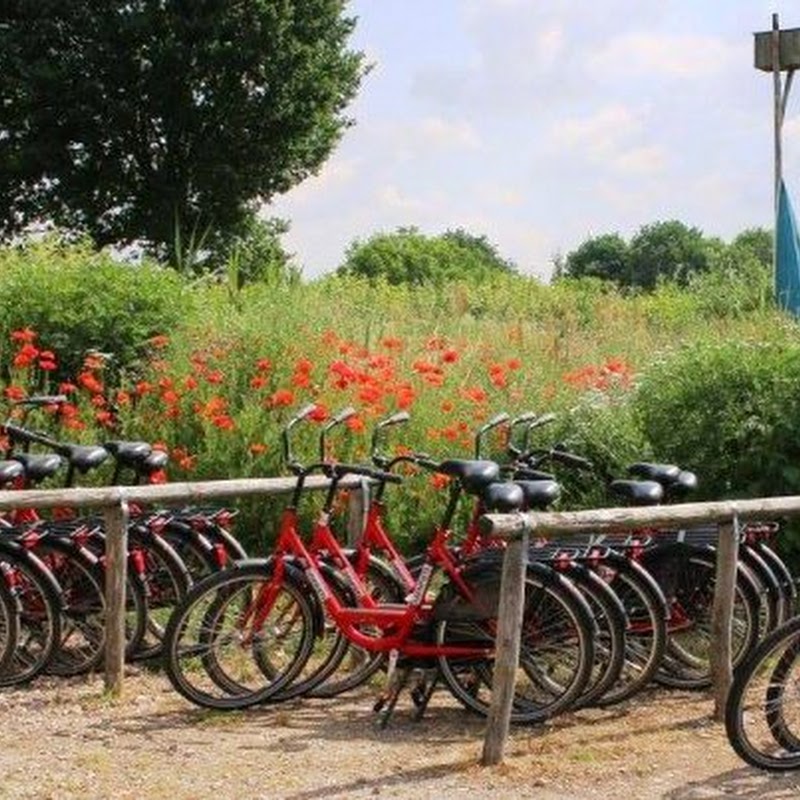 Lingevaart kano- en fietsverhuur