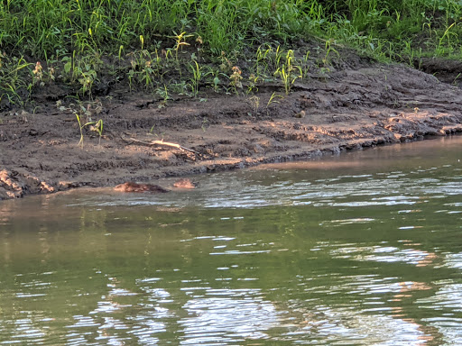 National Park «Effigy Mounds National Monument», reviews and photos, 151 IA-76, Harpers Ferry, IA 52146, USA